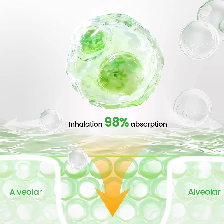 ⏰Last Day Promotion: 60% OFF🔥 Cvreoz® Pulmovia Quercetin Lung Detox Inhaler