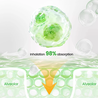 ⏰Last Day Promotion: 60% OFF🔥 Cvreoz® Pulmovia Quercetin Lung Detox Inhaler